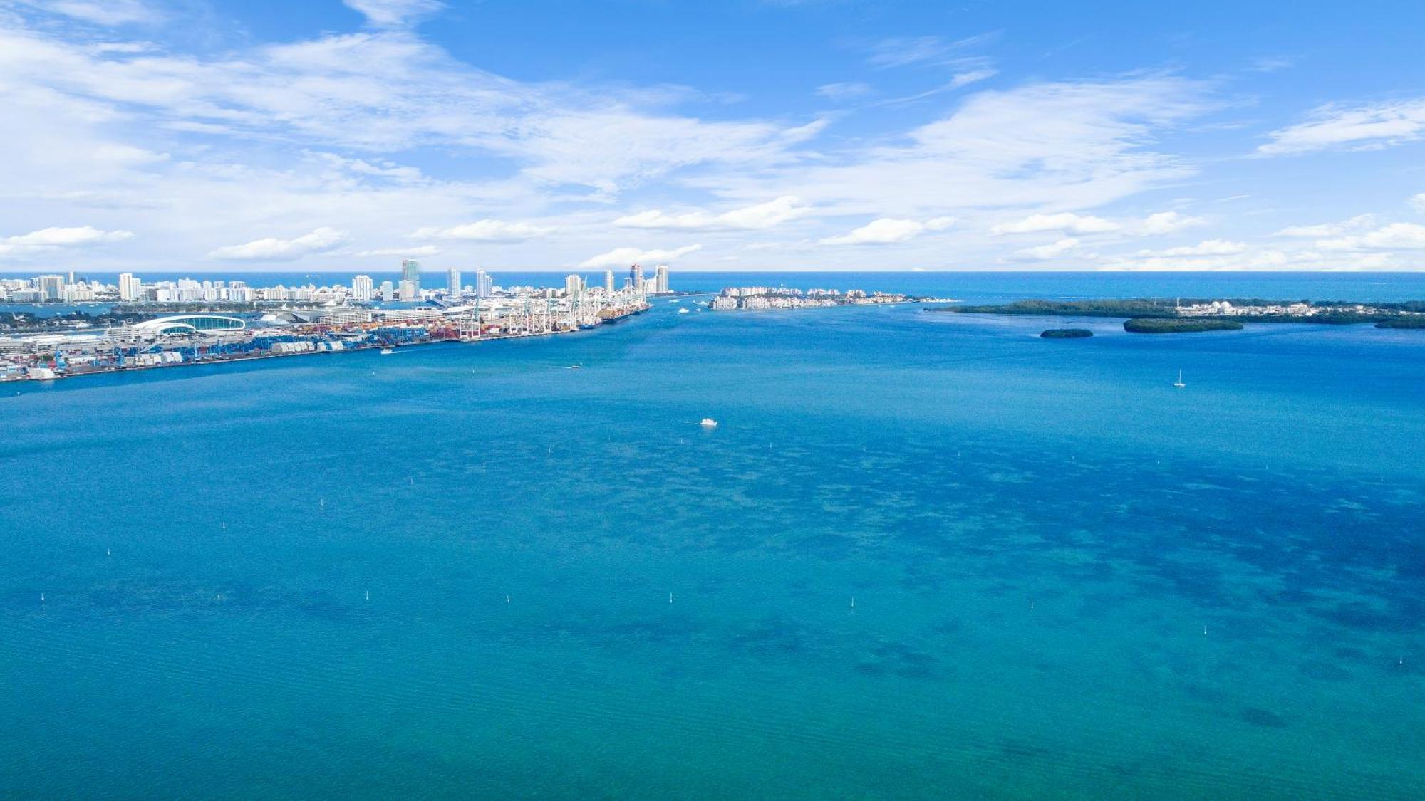 Upscale Brickell 3 Bedroom With Water Views And Free Parking Miami Eksteriør bilde